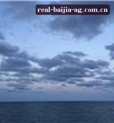 陈涛